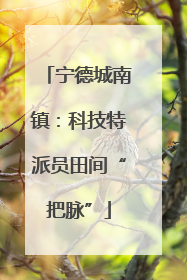 宁德城南镇：科技特派员田间“把脉”