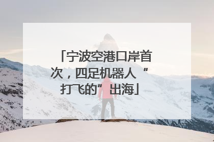 宁波空港口岸首次，四足机器人“打飞的”出海