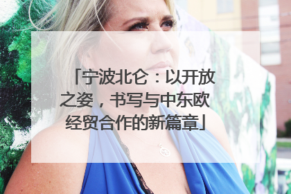 宁波北仑：以开放之姿，书写与中东欧经贸合作的新篇章