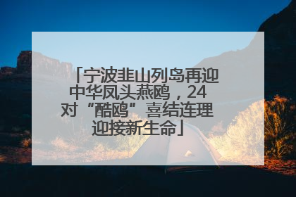 宁波韭山列岛再迎中华凤头燕鸥，24对“酷鸥”喜结连理迎接新生命