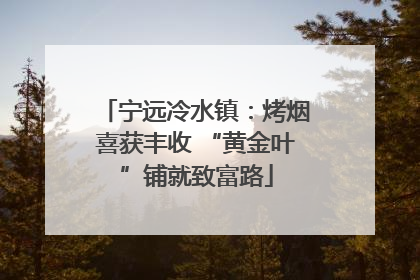 宁远冷水镇：烤烟喜获丰收 “黄金叶”铺就致富路