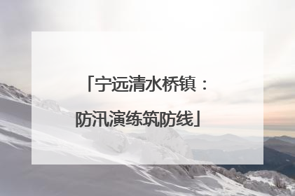 宁远清水桥镇：防汛演练筑防线
