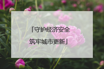 守护经济安全 筑牢城市更新