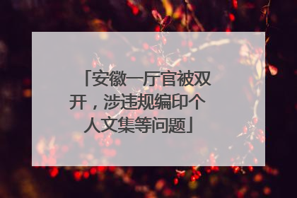 安徽一厅官被双开，涉违规编印个人文集等问题
