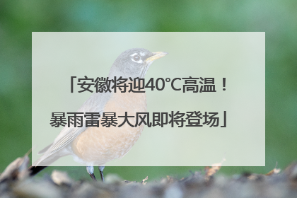 安徽将迎40℃高温！暴雨雷暴大风即将登场