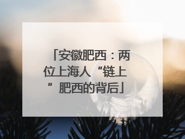 安徽肥西：两位上海人“链上”肥西的背后