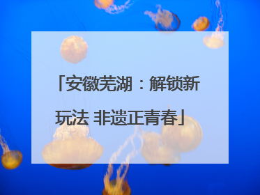 安徽芜湖：解锁新玩法 非遗正青春