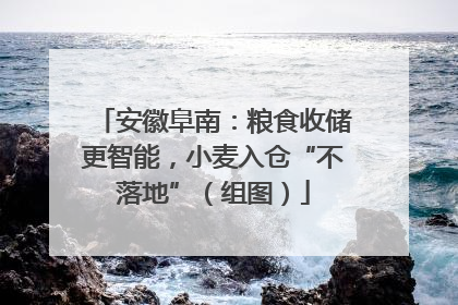 安徽阜南：粮食收储更智能，小麦入仓“不落地”（组图）