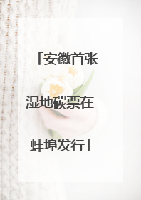 安徽首张湿地碳票在蚌埠发行