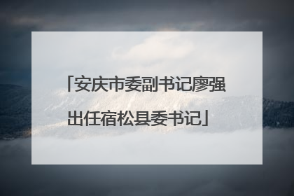 安庆市委副书记廖强出任宿松县委书记