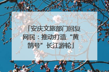 安庆文旅部门回复网民：推动打造“黄鹄号”长江游轮