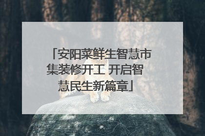 安阳菜鲜生智慧市集装修开工 开启智慧民生新篇章