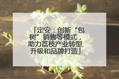 定安：创新“包树”销售等模式，助力荔枝产业转型升级和品牌打造