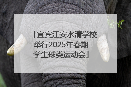 宜宾江安水清学校举行2025年春期学生球类运动会