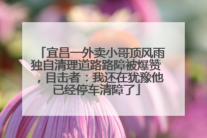宜昌一外卖小哥顶风雨独自清理道路路障被爆赞，目击者：我还在犹豫他已经停车清障了