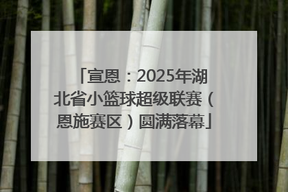 宣恩：2025年湖北省小篮球超级联赛（恩施赛区）圆满落幕