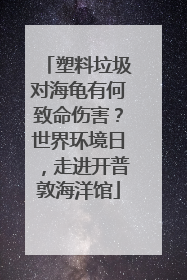 塑料垃圾对海龟有何致命伤害？世界环境日，走进开普敦海洋馆