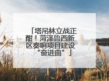 塔吊林立战正酣！菏泽鲁西新区奏响项目建设“奋进曲”