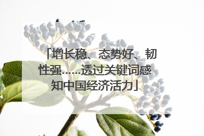 增长稳、态势好、韧性强……透过关键词感知中国经济活力