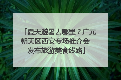 夏天避暑去哪里？广元朝天区西安专场推介会 发布旅游美食线路