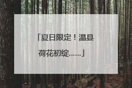 夏日限定！温县荷花初绽……