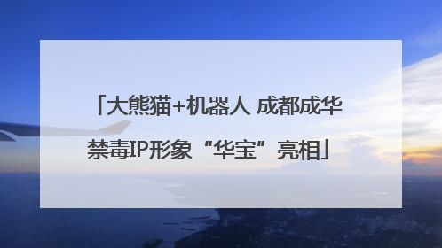 大熊猫+机器人 成都成华禁毒IP形象“华宝”亮相