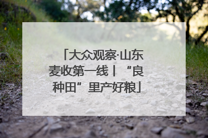 大众观察·山东麦收第一线丨“良种田”里产好粮