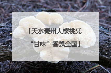 天水秦州大樱桃凭“甘味”香飘全国