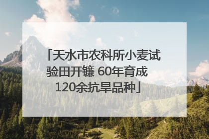 天水市农科所小麦试验田开镰 60年育成120余抗旱品种