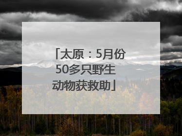 太原：5月份 50多只野生动物获救助