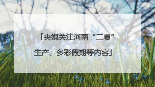 央媒关注河南“三夏”生产、多彩假期等内容