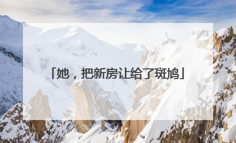 她，把新房让给了斑鸠
