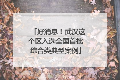 好消息！武汉这个区入选全国首批综合类典型案例