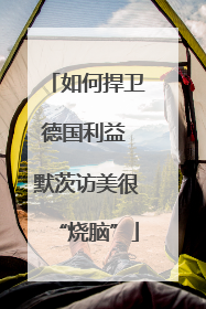 如何捍卫德国利益 默茨访美很“烧脑”
