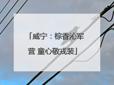 威宁：棕香沁军营 童心敬戎装