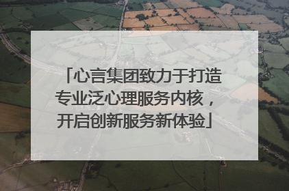 心言集团致力于打造专业泛心理服务内核，开启创新服务新体验