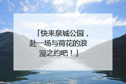 快来泉城公园，赴一场与荷花的浪漫之约吧！