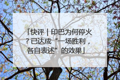 快评｜印巴为何停火？已达成“一场胜利，各自表述”的效果