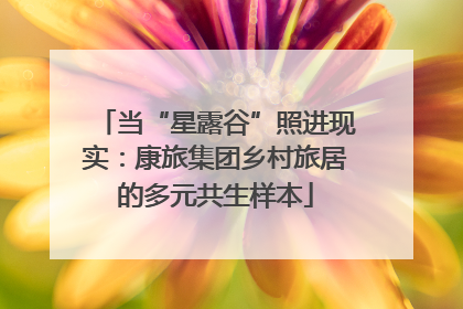 当“星露谷”照进现实：康旅集团乡村旅居的多元共生样本