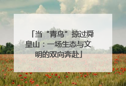 当“青鸟”掠过舜皇山：一场生态与文明的双向奔赴