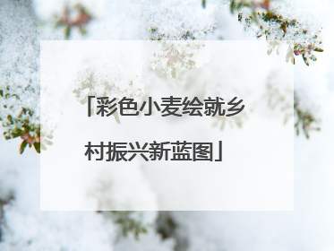 彩色小麦绘就乡村振兴新蓝图