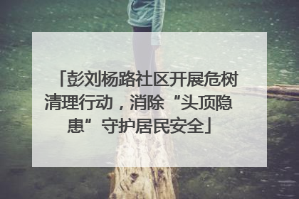 彭刘杨路社区开展危树清理行动，消除“头顶隐患”守护居民安全