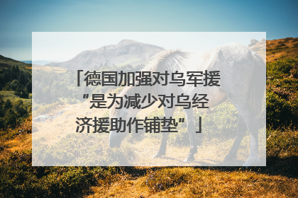 德国加强对乌军援 “是为减少对乌经济援助作铺垫”