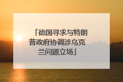 德国寻求与特朗普政府协调涉乌克兰问题立场