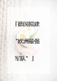 德国拟建“欧洲最强军队”