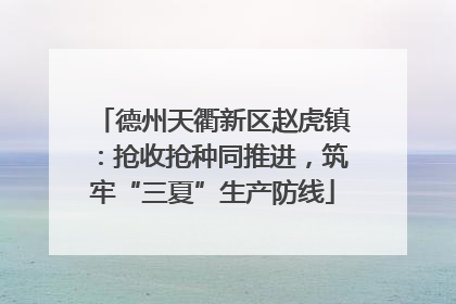 德州天衢新区赵虎镇：抢收抢种同推进，筑牢“三夏”生产防线