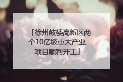 徐州鼓楼高新区两个10亿级重大产业项目顺利开工