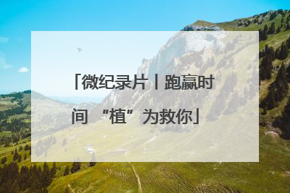 微纪录片丨跑赢时间 “植”为救你