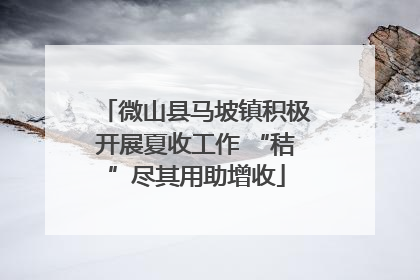 微山县马坡镇积极开展夏收工作 “秸”尽其用助增收