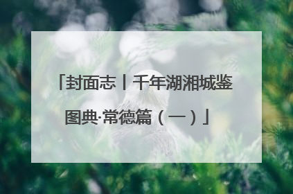 封面志丨千年湖湘城鉴图典·常德篇（一）